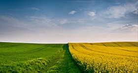Оценка земель сельхозназначения
